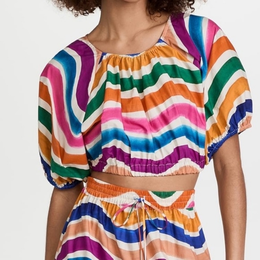 FARM Rio Dancing Stripes Crop Top Small